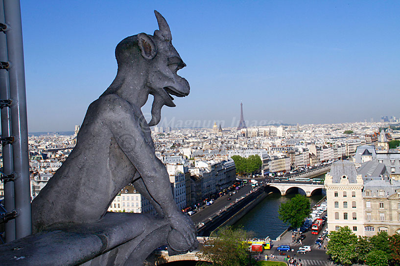 Paris Notre Dame Gargoyle