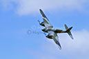 Mosquito KA114-1