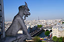 Paris Notre Dame Gargoyle