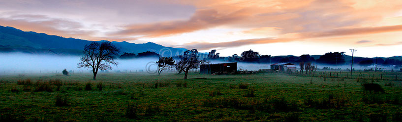 Misty Woodville Farm 1