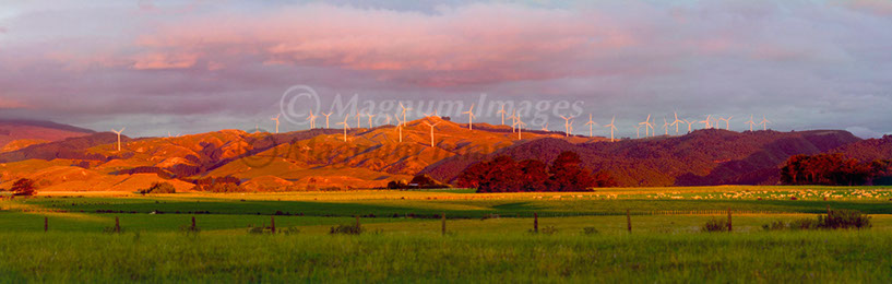 Te Apiti Pano 1