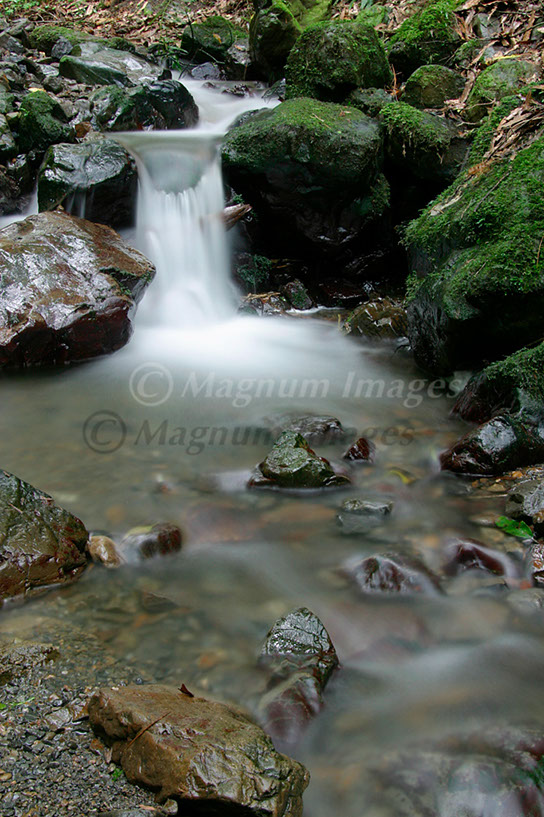 Falls in Gorge 1