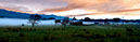 Misty Woodville Farm 1