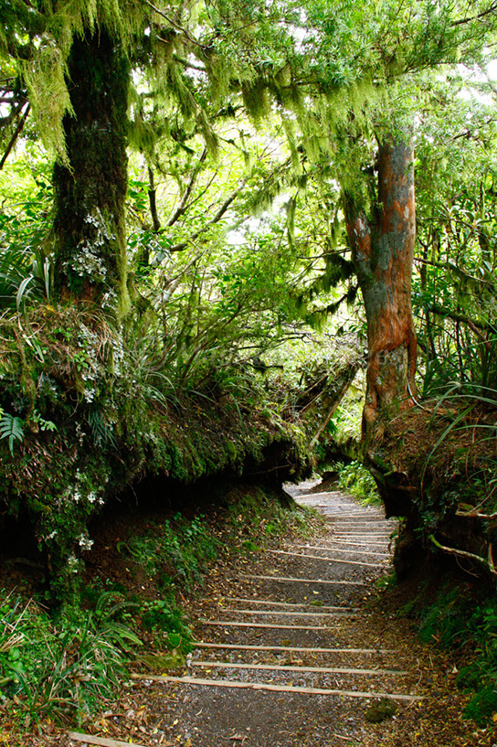 Taranaki 1