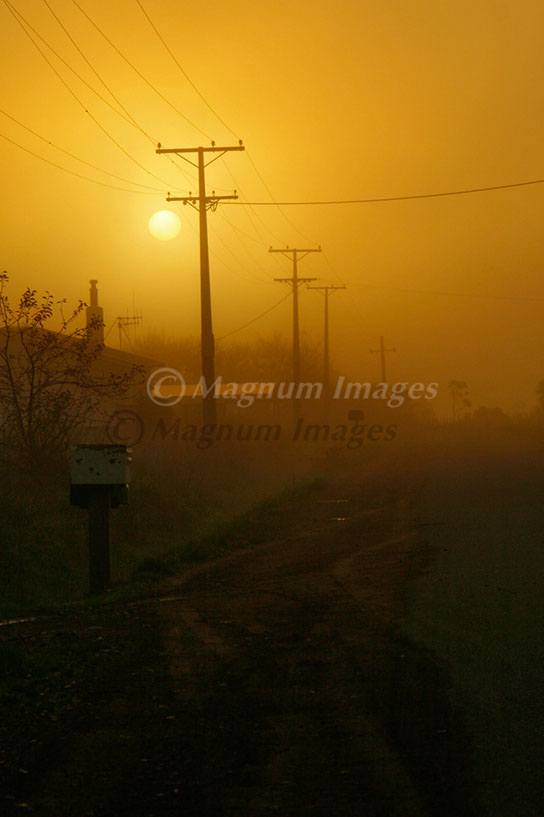 Kumeroa Fog 1