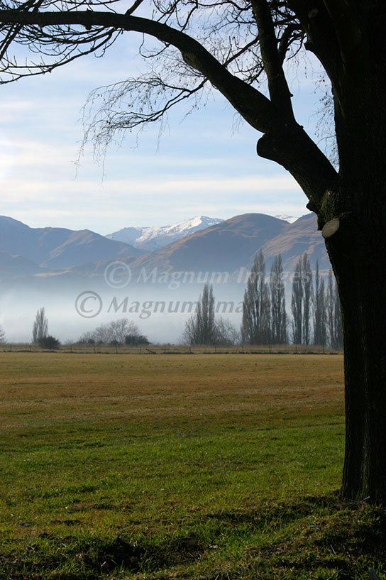 Queenstown 4
