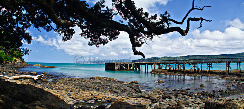 Hicks Bay Warf 1