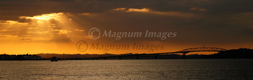 Auckland Harbour Bridge