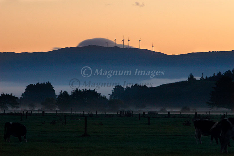 Kumeroa Fog 4