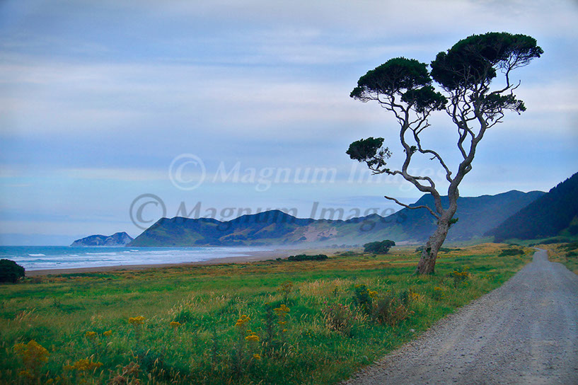 East Cape Rd 1