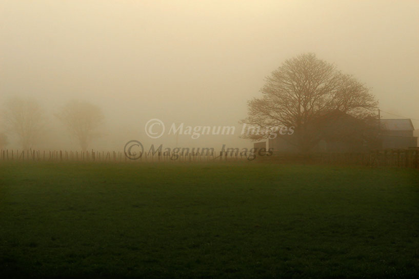 Kumeroa Fog 6
