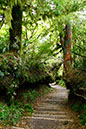 Taranaki 1