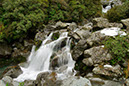 Arthur's Pass 27