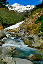 Arthur's Pass 34