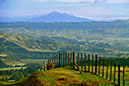Rangitikei 1
