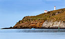 Taiaroa Heads 1