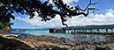 Hicks Bay Warf 1