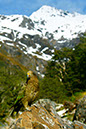 Kea 1