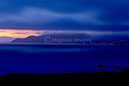 Wellington Harbour f Pencarrow Head