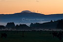 Kumeroa Fog 4