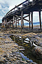 Hicks Bay Warf 3