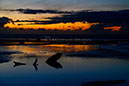 Taranaki 5
