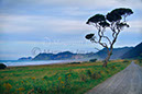 East Cape Rd 1