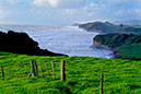 Taranaki 11