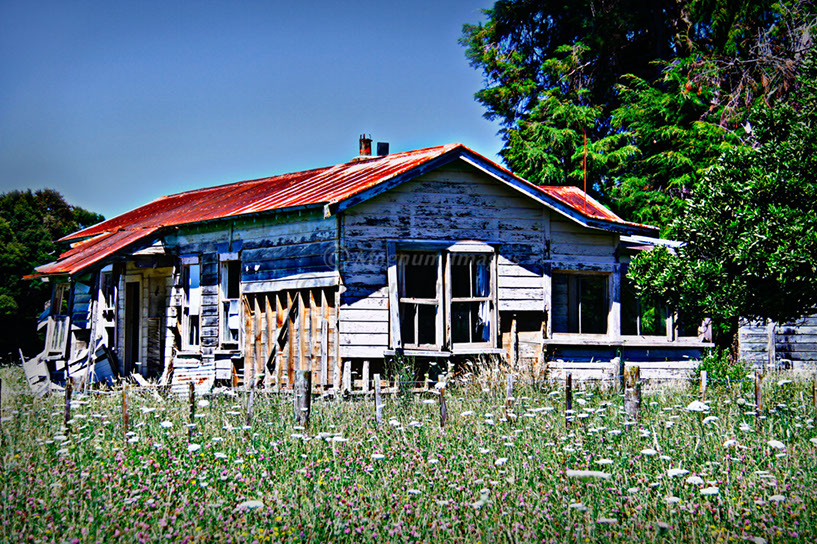 PBB East Coast-05