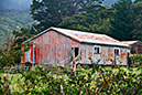 PBB East Coast-09