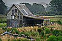 PBB East Coast-06