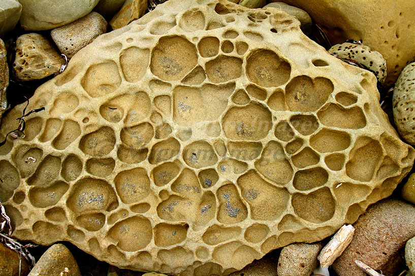 Beach Rock 1