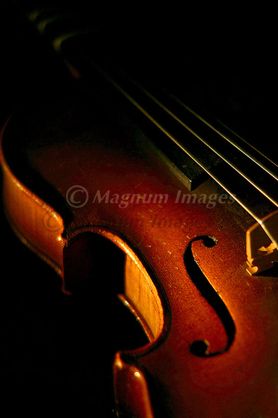 Violin 2