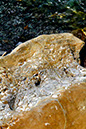 Fossil Rock 1