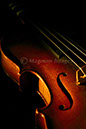 Violin 2