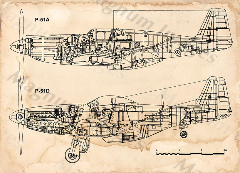 P51 Mustang Types A & D Vin3