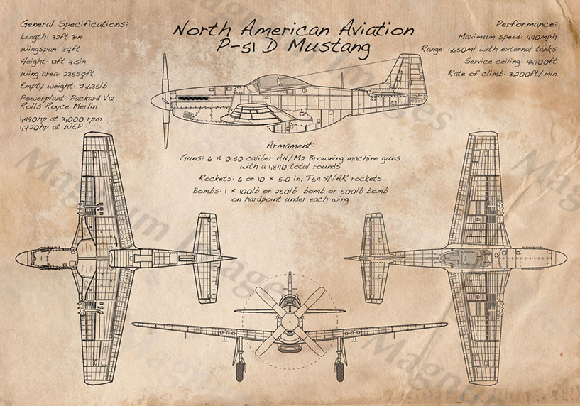 P51D Mustang Vin2