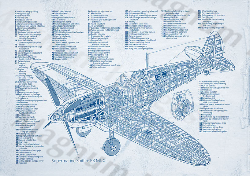 Spitfire Mk XI Cutaway BluI4