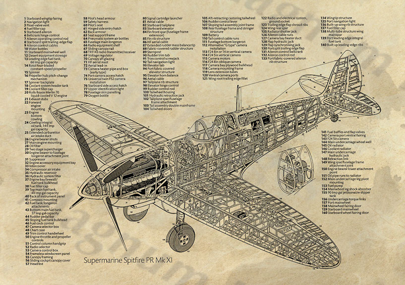 Spitfire Mk XI Cutaway Vin4