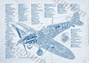 Spitfire Mk XI Cutaway BluI4